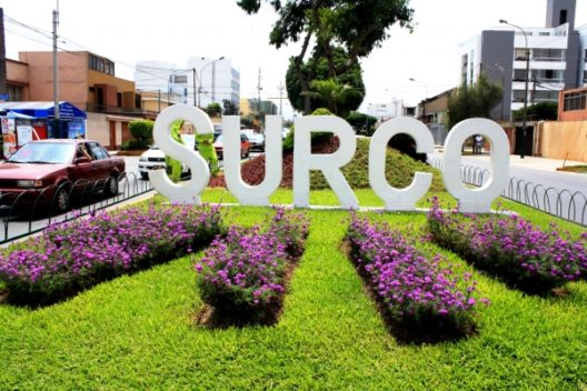 surco-2