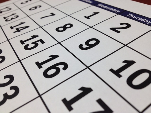 Calendario días