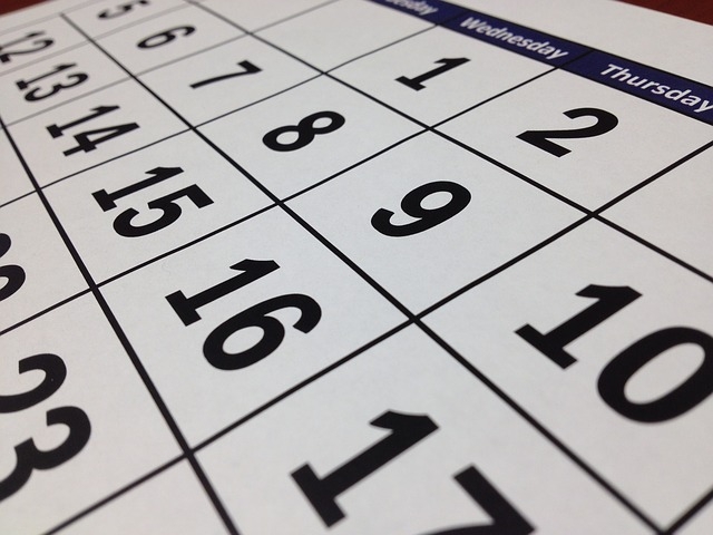 Calendario días