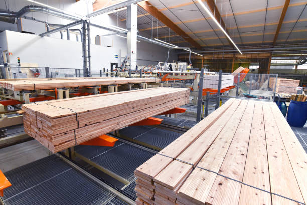 industrial-plant-sawmill-production-of-wooden-boards-with-modern-machines